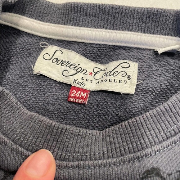 Sovereign Code Baby Boy Dinosaur Print Sweatshirt 24 Months Infant Gray Pullover - Picture 3 of 7